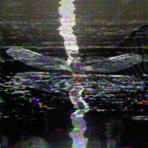 Meet your Posher, S i n e